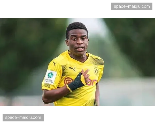 观点：过度强调区域协防导致个人防守能力退化，德国青训需警惕